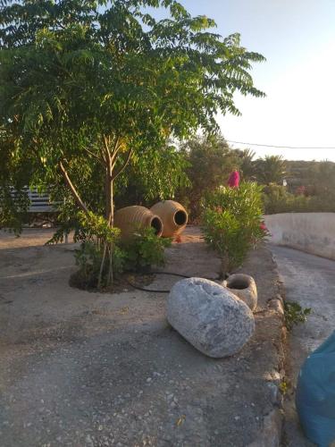 Gallery image of Kyparissos guesthouse in Kyparissos