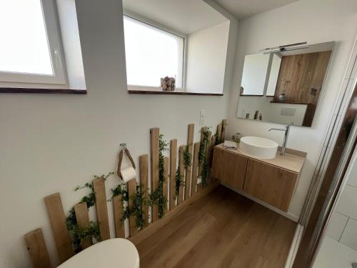 une salle de bain avec un lavabo et un miroir dans l'établissement Appart-hôtel n 2 calme avec vue sur la piscine, petit-déjeuner, terrasse et parking, à Chouzelot