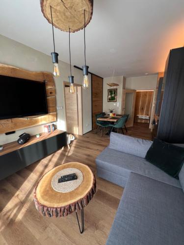 TV a/nebo společenská místnost v ubytování Apartmán Dubový důl