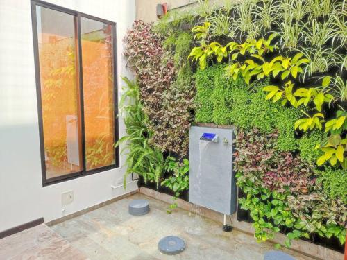 a room with a green wall with a window at Cómodo apartamento en San Vicente - Cali in Cali