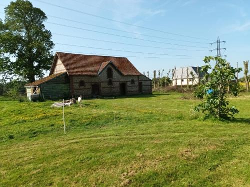 una vecchia casa in un campo con un cortile erboso di La Chèvrerie de Saint-Vigor a Saint-Vigor-dʼYmonville