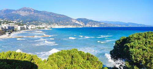 a view of a beach with trees and buildings at Hôtel Alexandra in Roquebrune-Cap-Martin