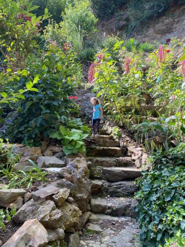 a young boy walking down stone stairs in a garden at Apartment im Wein- und Freizeitidyll Klöch in Klöch