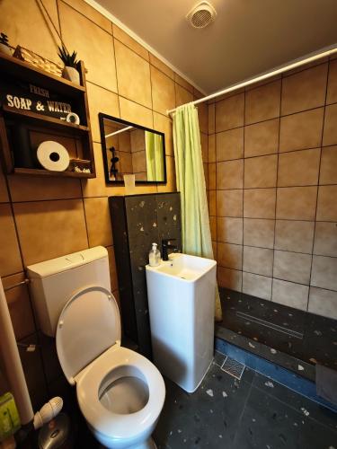 a bathroom with a toilet and a sink at Alpine Escape Studios in Măgura