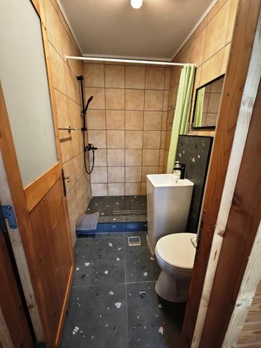 a dirty bathroom with a toilet and a shower at Alpine Escape Studios in Măgura
