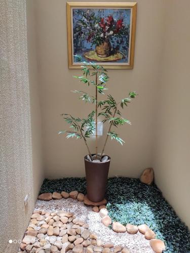 a potted plant in a corner with a painting at Casa Térrea 3 quartos, sendo 1 suíte Maringá in Maringá
