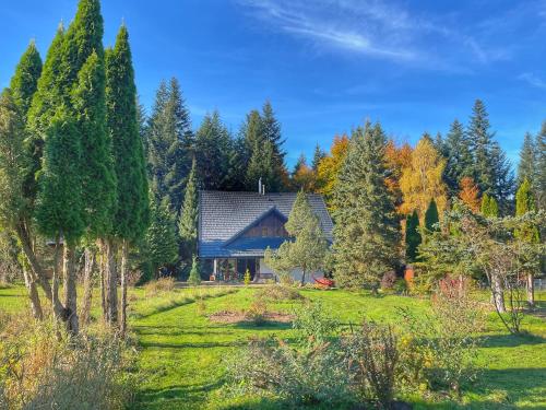 Jałowcówka Centrum Aktywności Psychoruchowej