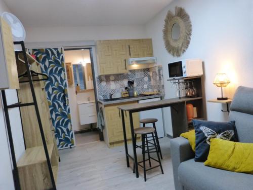 Il comprend une petite cuisine et un salon avec un canapé et une table. dans l'établissement 2 studios en 1, parfait pour familles ou couples, à Besançon