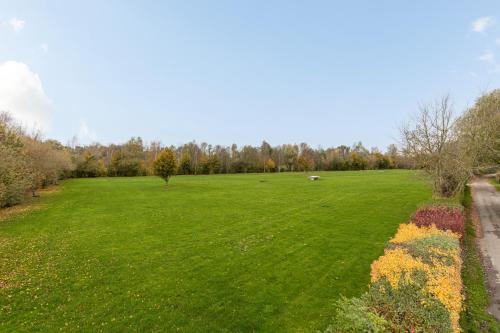 a large green field with a sheep in the distance at Klein Finland - Chalet 6persoons in Wagenborgen