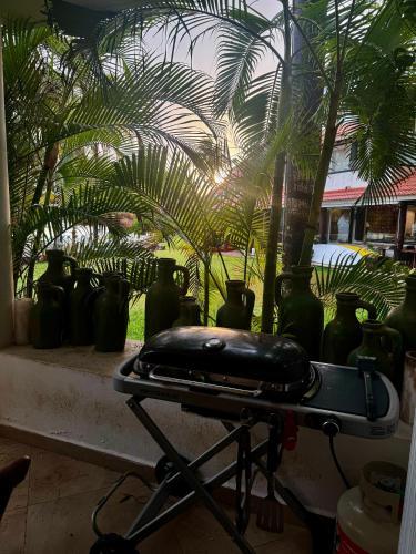 a row of green vases sitting on a window sill at CHAC at Chac Hal Al Puerto Aventuras in Puerto Aventuras