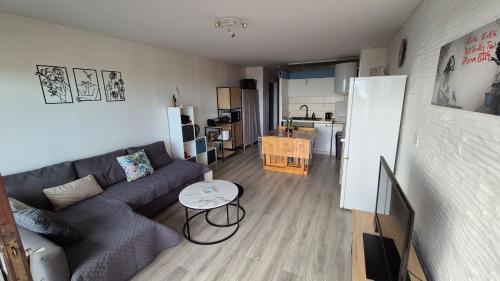 un salon avec un canapé et une table dans l'établissement Appartement T2 vue sur mer, à Saint Cyprien Plage