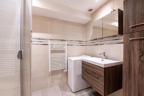 une salle de bain avec un lavabo et une douche dans l'établissement L'Alcôve Annecienne - Appt proche du lac d'Annecy, à Annecy