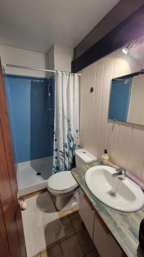 une salle de bain avec un lavabo, des toilettes et une douche dans l'établissement Appartement T2 vue sur mer, à Saint Cyprien Plage