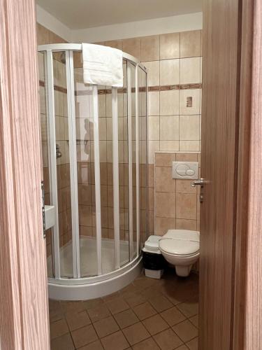 a bathroom with a shower and a toilet at Hotel Lony in Mochov
