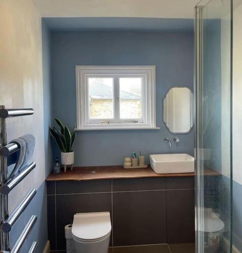a bathroom with a toilet and a sink and a window at Georgian Townhouse on the beach in Worthing