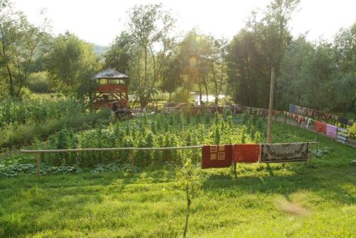 Taman di luar Pensiunea La Gorgan