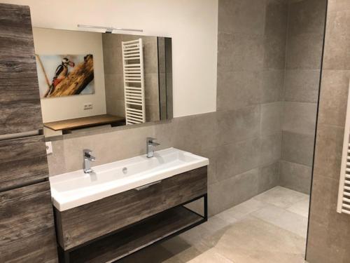 a bathroom with a sink and a mirror at De Specht in Doetinchem