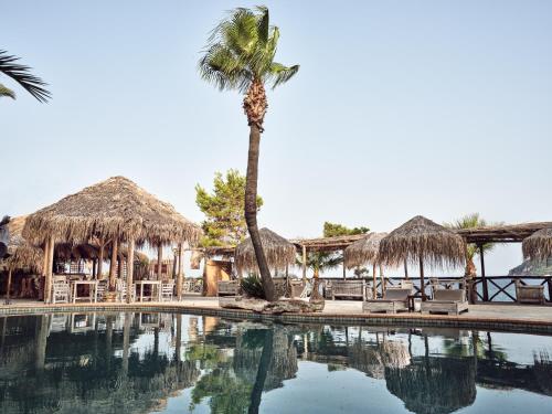 a resort with a palm tree and a swimming pool at Gloria Maris Hotel Suites and Villas in Laganas
