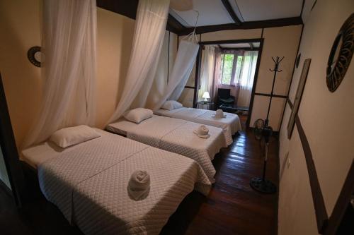two beds sitting in a room with a window at Chilamate Rainforest Eco Retreat in Puerto Viejo