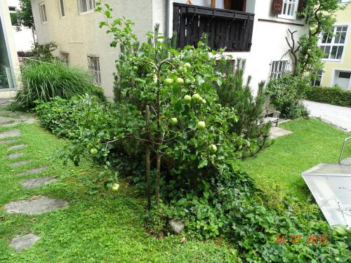 Un jardín fuera de Apartment Ulli