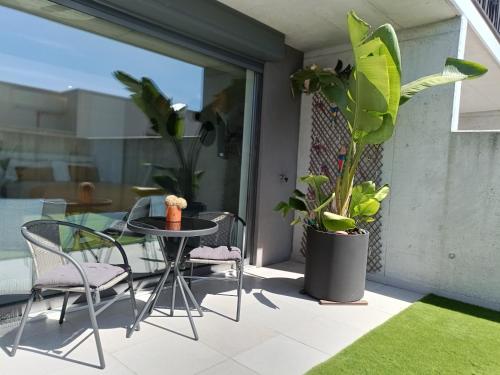 a patio with a table and chairs and a potted plant at Casa das Falcoeiras - Estúdio com terraço privado in Aveiro