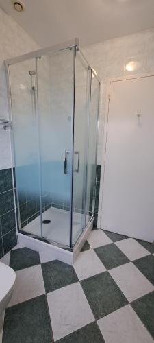 a bathroom with a glass shower and a toilet at Location, 10 mn des plages. in Saint-Coulomb