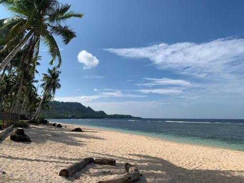 a beach with a coconut tree and the ocean at Bloom Siargao - Cozy Villa in Pacifico in San Isidro