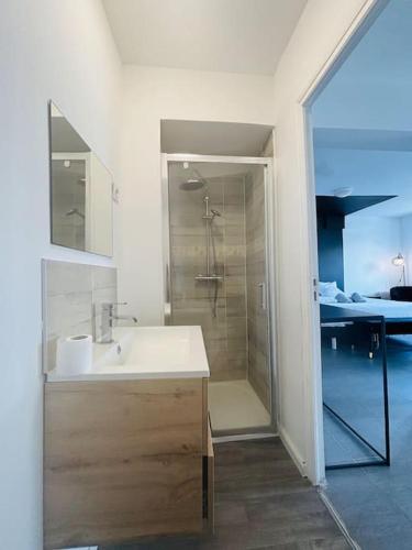 une salle de bain avec une douche, un lavabo et un miroir dans l'établissement Charmant Studio 3 avec Jacuzzi à Quéven, à Quéven