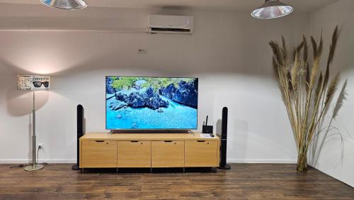 TV a/nebo společenská místnost v ubytování Pašić Apartman