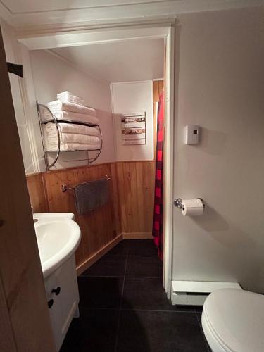 a bathroom with a sink and a toilet and towels at Aux Pignons Rouges Camping & Chalets in Saint Romain