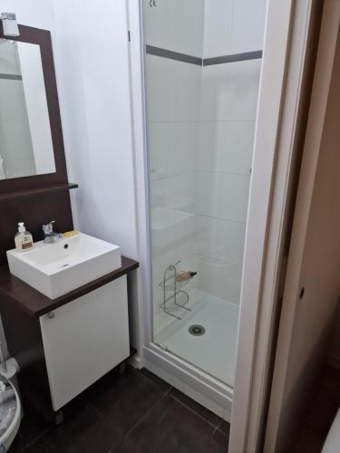 une salle de bain avec douche et lavabo dans l'établissement belle appartement au canal de saint martin, à Paris
