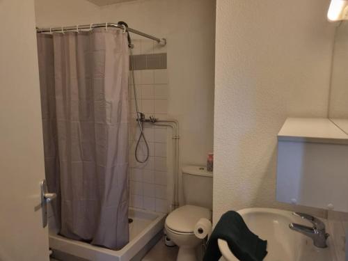 une salle de bain avec une douche, des toilettes et un lavabo dans l'établissement Le Diochon, à Sotteville-lès-Rouen