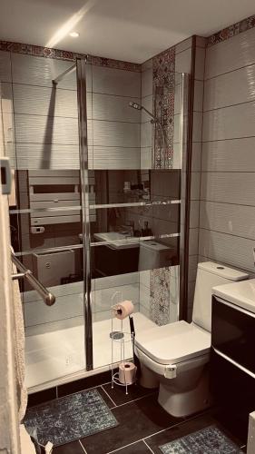 une salle de bain avec toilettes et lavabo dans l'établissement A Honfleur comme chez soi, à Honfleur