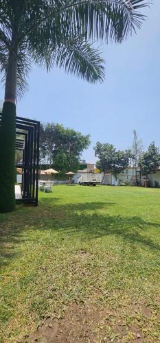 a park with a palm tree and a bench in a field at Pacharodeo & Hospedaje in Pachacamac