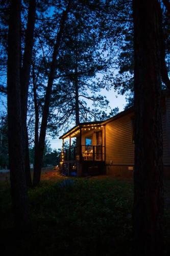 a small cabin in the woods with trees at Peaceful Pine Place Cabin in Pine