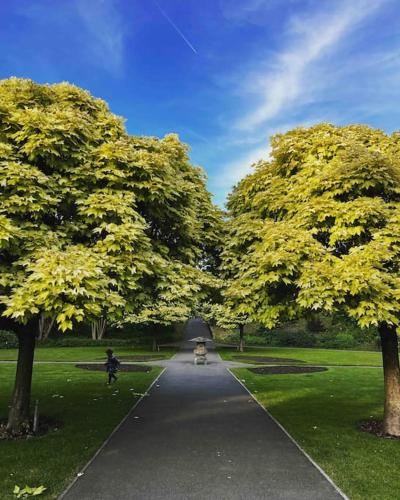 a path in a park with two large trees at Seashell Apartment - Central location in Folkestone