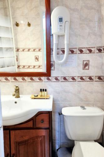 a bathroom with a toilet and a sink and a mirror at Hôtel du Château in Vincennes