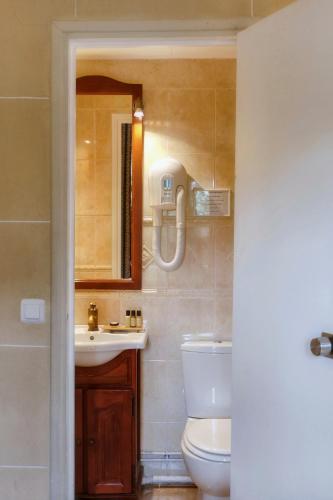 a bathroom with a toilet and a sink and a mirror at Hôtel du Château in Vincennes