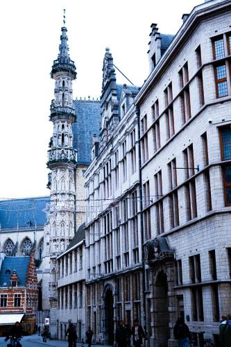 a group of buildings in a city with a cathedral at Hotel Professor Leuven Centrum in Leuven