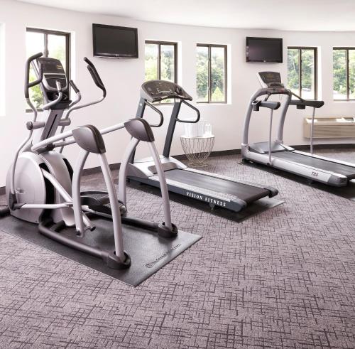 Fitness centrum a/nebo fitness zařízení v ubytování The Royal Regency Hotel