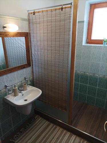 a bathroom with a sink and a shower at Zeleny Dom Vysoké Tatry in Stará Lesná
