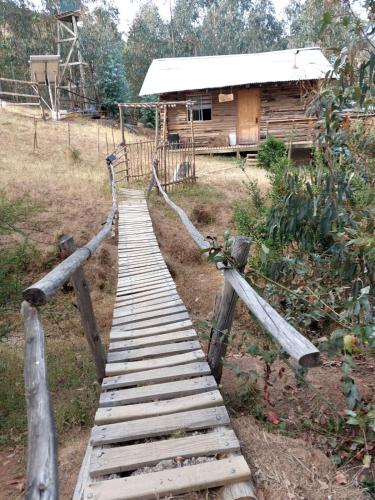 a wooden path leading to a wooden cabin at Estancia Don Domingo in Hualañé