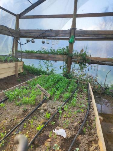 a greenhouse with some plants in it at Estancia Don Domingo in Hualañé