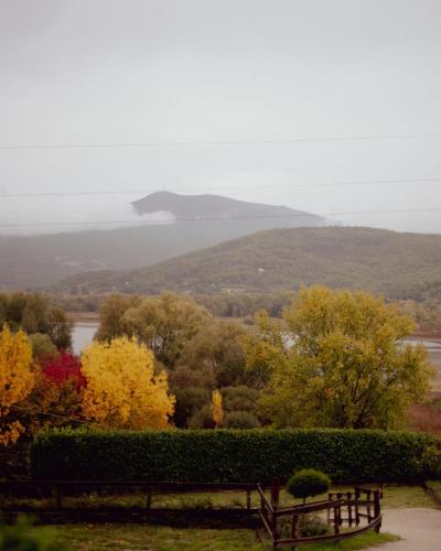a bench in a park with trees and a lake at Glamping&BeerSpa Scialla Sul Lago in Pignola