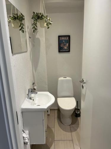 a bathroom with a white toilet and a sink at Billund Mini hostel room 4 - Tæt på LEGOLAND og LEGO HOUSE in Billund