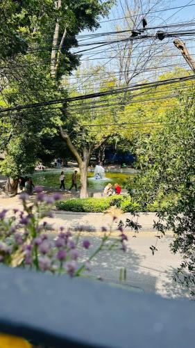 a park with people walking and a tree and flowers at Nokal Exclusive Stay in Mexico City