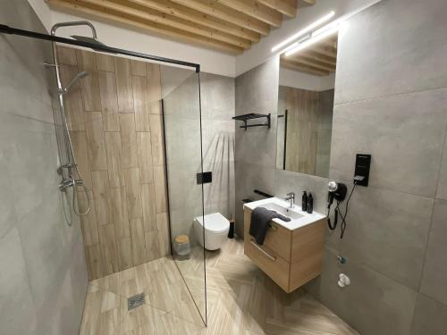 a bathroom with a shower and a toilet and a sink at Pod Błękitnymi Podkowami in Wrocław