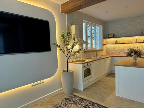 a kitchen with a tv and a vase with a plant at Villa Cecilia Luxury Stay in Kastoria