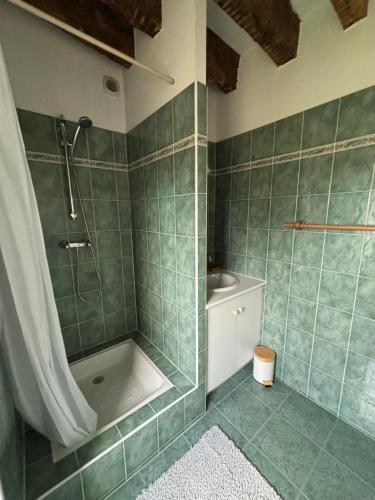 a bathroom with a shower and a toilet and a sink at LAOUEN - grande maison de campagne in Saint-Igneuc