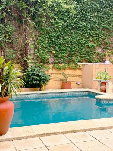 a swimming pool in front of a wall with plants at House Park Boutique - Casa de Huéspedes in Santa Fe